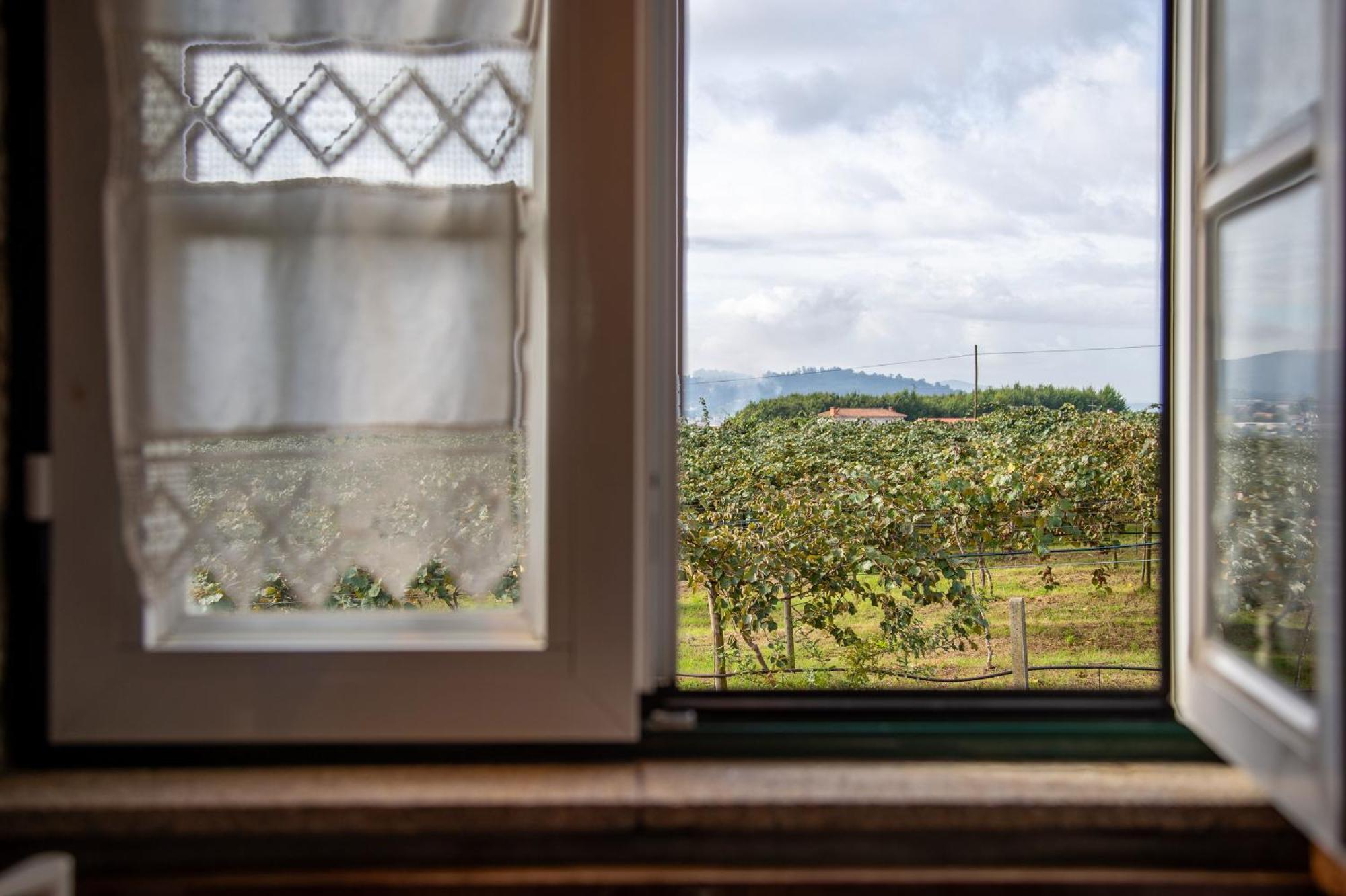 Quinta Do Carvalhal Alojamento, Penafiel Irivo Exterior photo